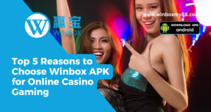 Top 5 Reasons to Choose Winbox APK for Online Casino Gaming